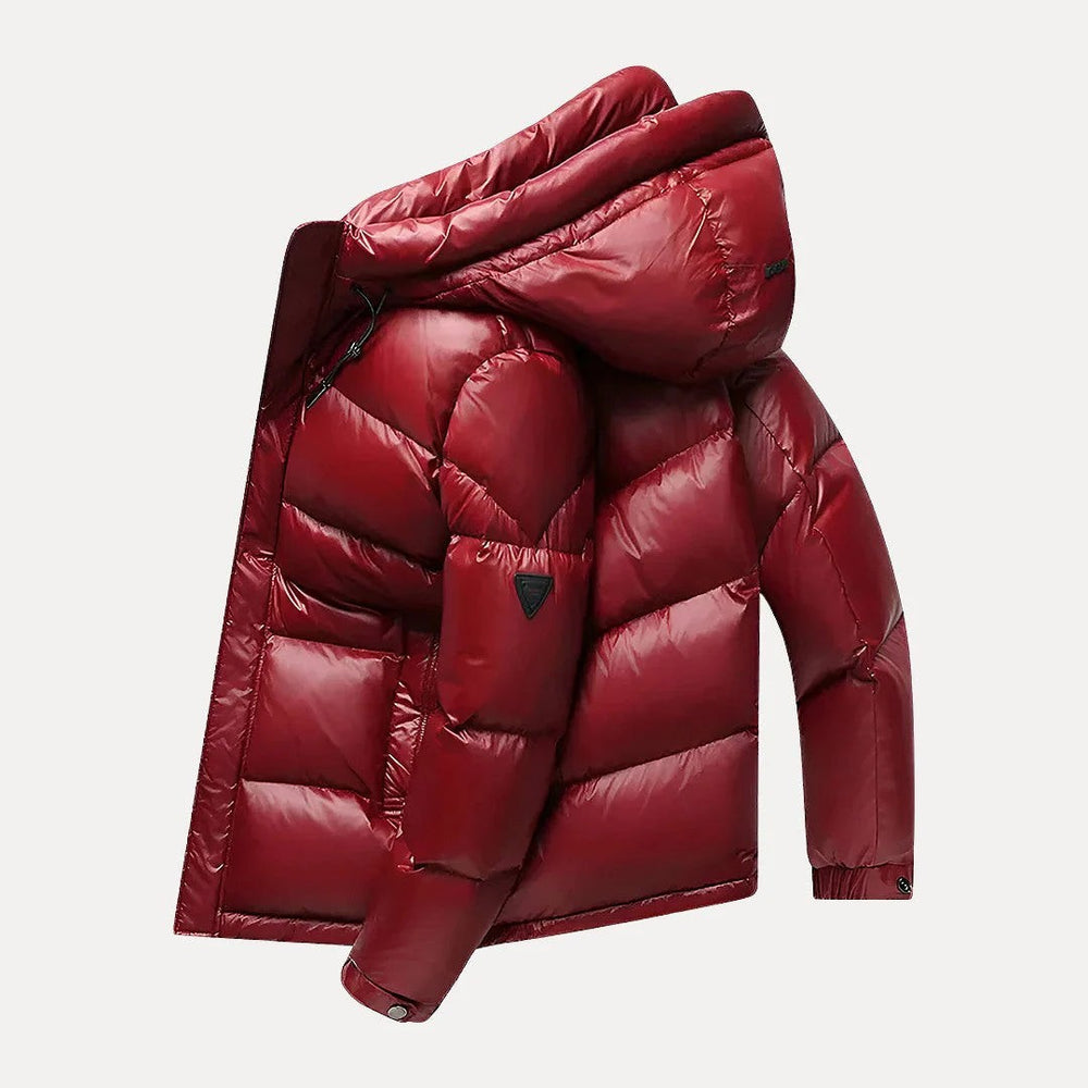 Arden Hooded Down Jacket